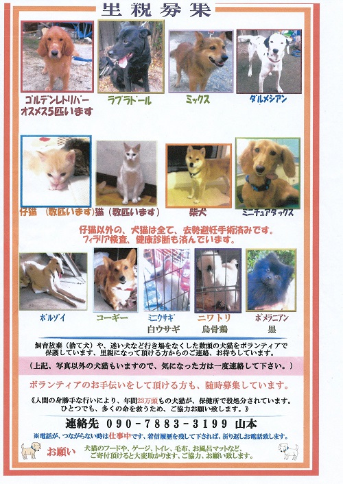 動物 病院 里親 募集